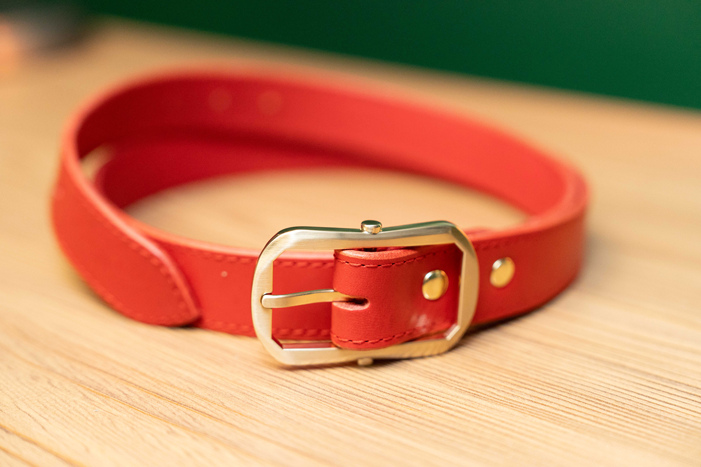 Ceinture